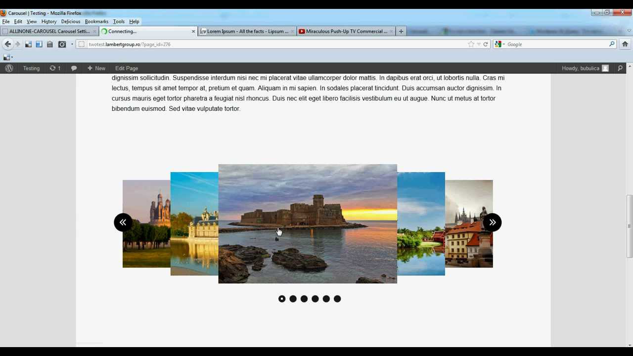 Project Preview Screenshot